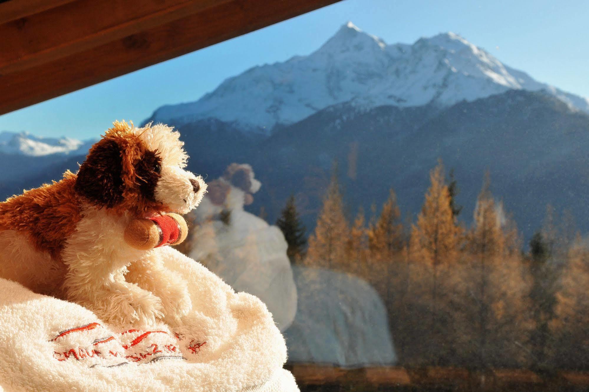 Chalet Matsuzaka - Chambres D'Hotes De Luxe La Rosiere  Kültér fotó